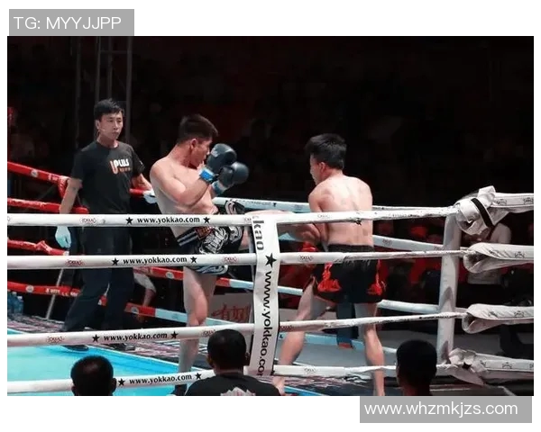 播求与柳海龙巅峰对决谁能称霸搏击界引发热议